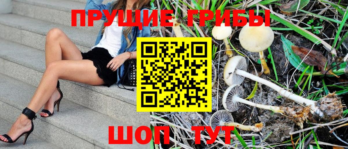 Галлюциногенные грибы Magic Shrooms  Вход с VPN  Одинцово 